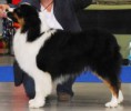/album/pedigree/p1000617-jpg/