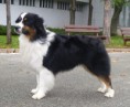 /album/pedigree/p1010867-jpg/