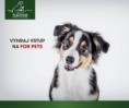 /album/fotogalerie-vrh-e/54350275-2081814995228653-9186274733576945664-n-jpg/
